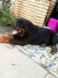 Slika 2