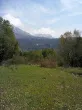 Slika 1