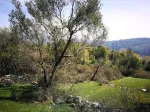 Slika 6
