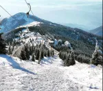 Slika 5