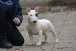 Slika 3