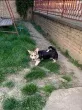 Slika 4