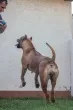 Slika 1