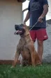 Slika 2