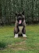 Slika 3