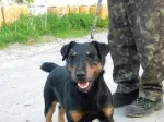 Slika 1