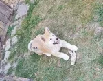 Slika 3