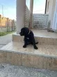 Slika 1