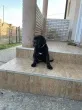 Slika 2