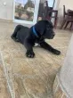 Slika 4