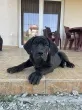 Slika 6
