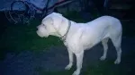 Slika 3
