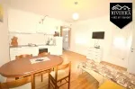 Slika 1