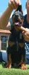 Slika 2