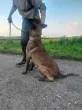 Slika 4