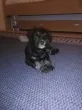 Slika 3