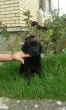 Slika 3