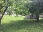 Slika 1