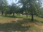 Slika 6