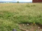 Slika 4