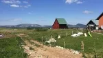Slika 3