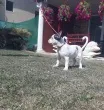 Slika 2