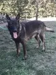 Slika 3