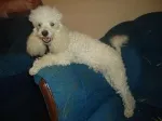 Slika 6