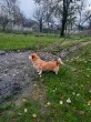 Slika 1