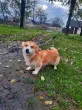 Slika 2