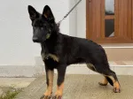 Slika 2