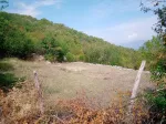 Slika 3
