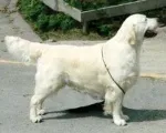 Slika 6