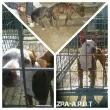 Slika 2
