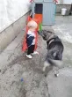 Slika 6