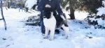 Slika 6