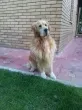 Slika 1