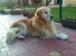 Slika 2