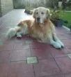 Slika 3