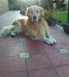 Slika 4