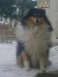 Slika 2