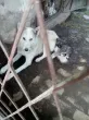 Slika 3
