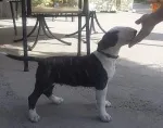 Slika 2