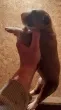 Slika 2