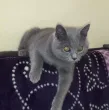 Slika 3