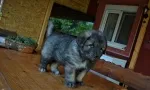 Slika 3