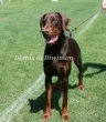 Slika 2