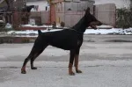 Slika 3