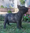 Slika 6