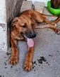 Slika 5